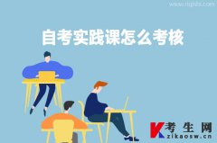 自考实践课怎么考核？